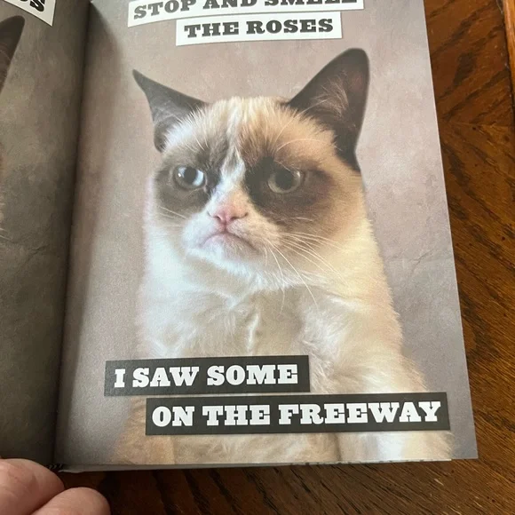 Grumpy Cat Book | hardcover - Picture 5 of 10